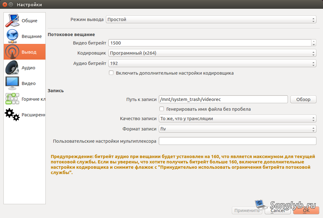 Mastering Game Streaming and Screen Recording on Ubuntu with OBS - obs interface output settings